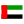 UAE Flag